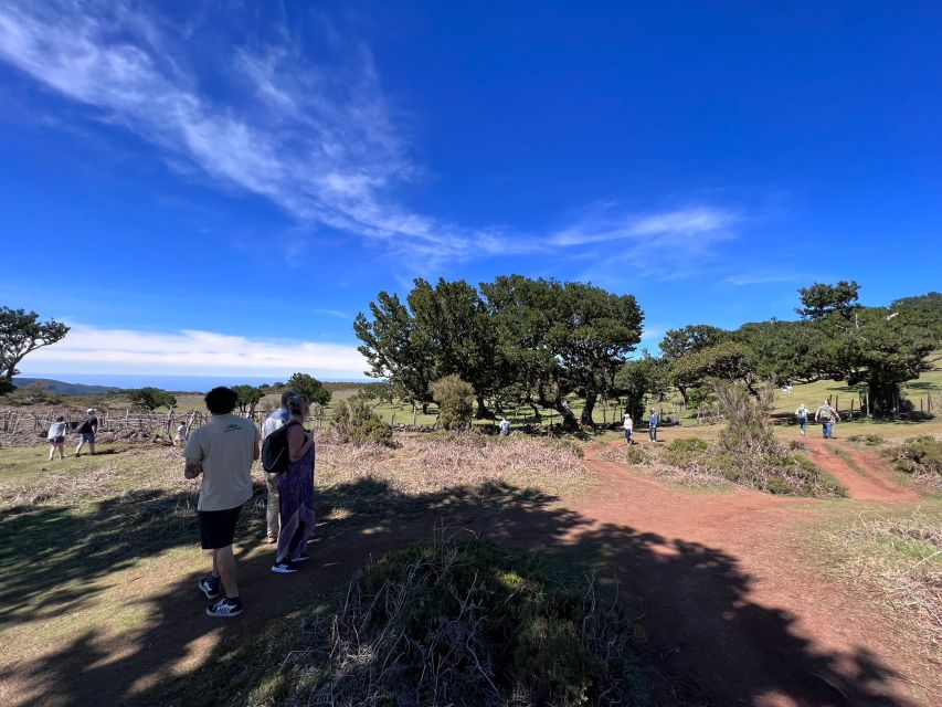 Madeira: Full-Day Jeep Tour With Guide and Pickup - Frequently Asked Questions