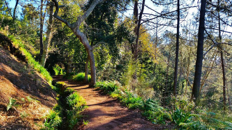 Madeira: Paradise Valley Levada Walk - Frequently Asked Questions