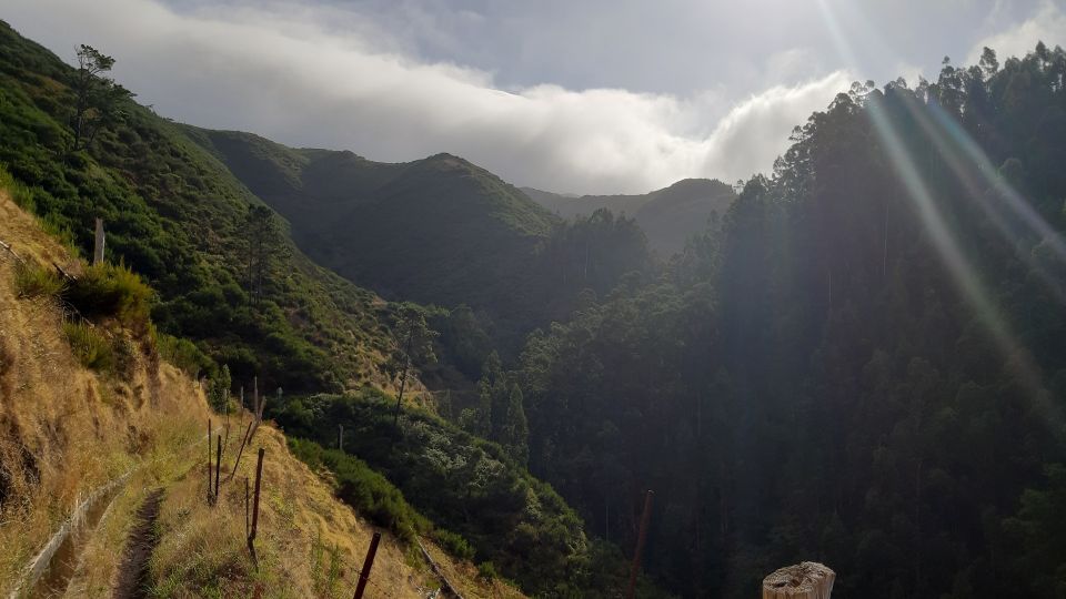 Madeira: Private Levada Ponta Do Pargo Walk - Recap