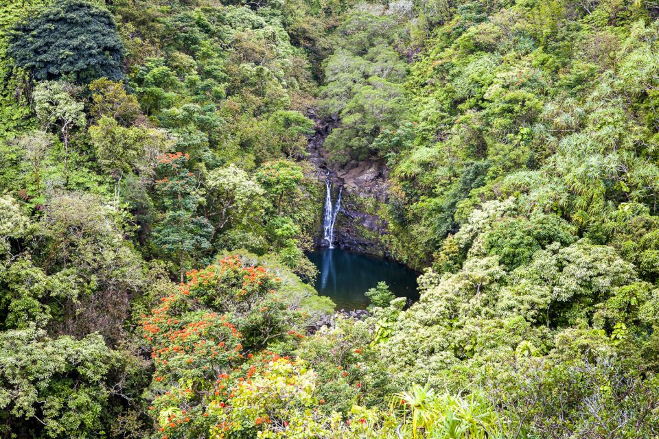 Maui: Small-Group Road to Hāna Sightseeing Tour - Frequently Asked Questions