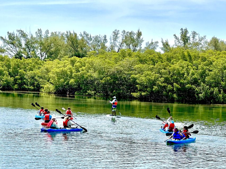 Miami: Manatee Season Tour Paddleboard or Kayak Tour - Frequently Asked Questions