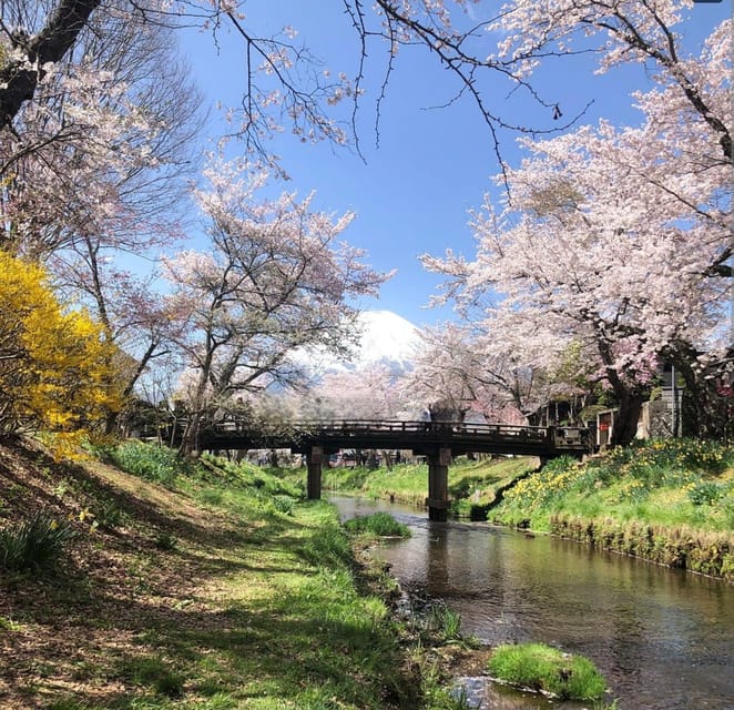 Mount Fuji One Day Private Tour by Car With English Driver - Frequently Asked Questions