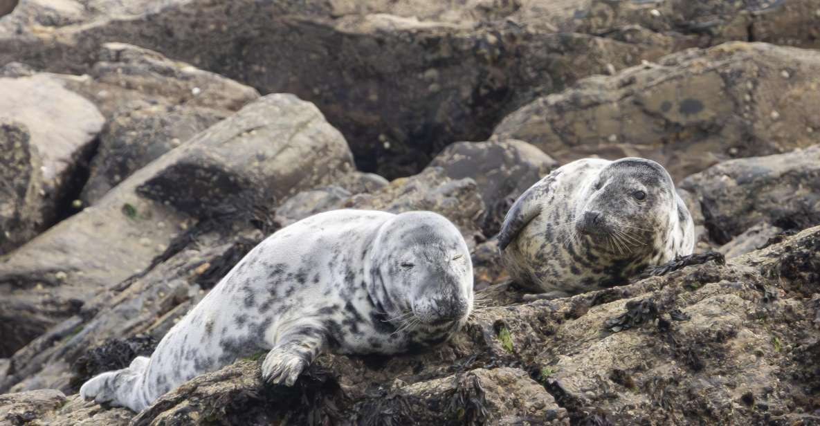 Mounts Bay, Penzance Discovery Boat Trip - Frequently Asked Questions