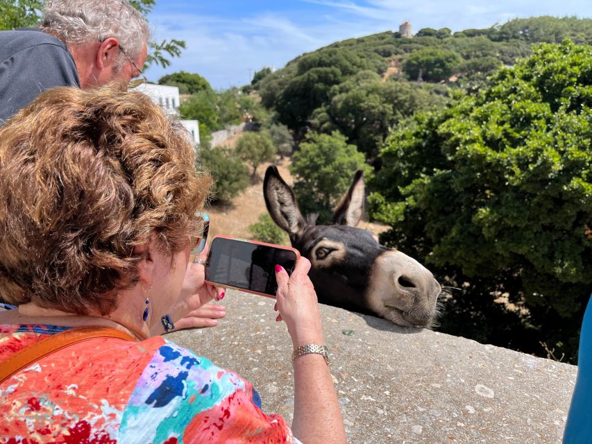 Naxos: Local Villages Cultural Food Tour - Frequently Asked Questions