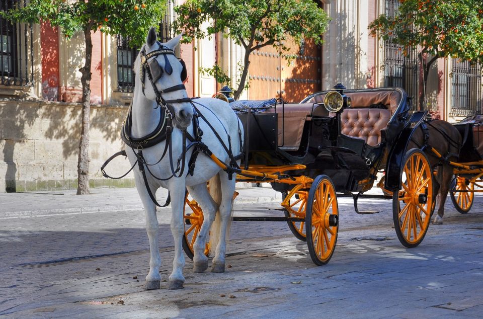 New York: Carriage Ride in Central Park - Frequently Asked Questions