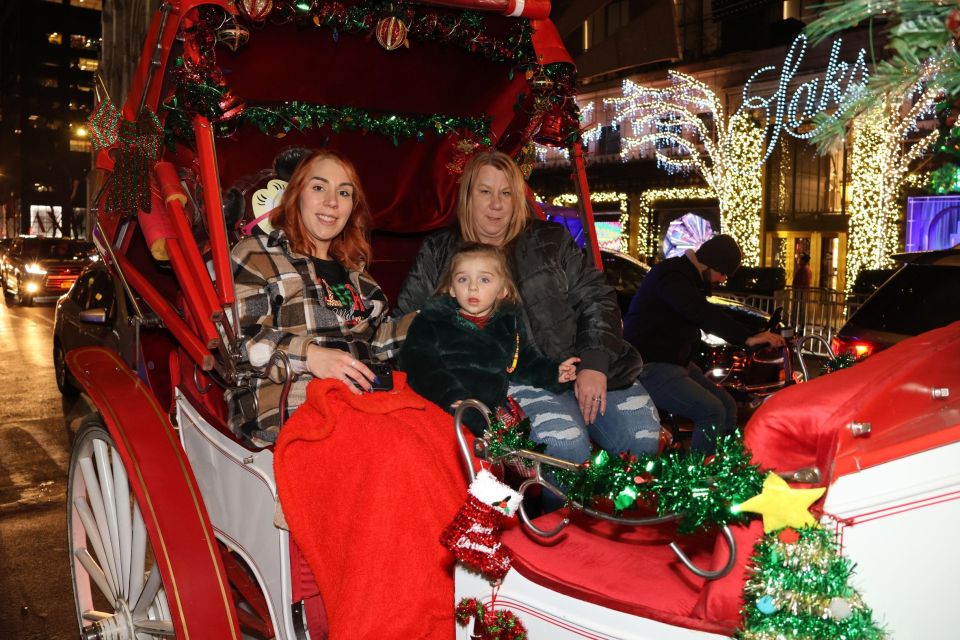 NYC: Magical Christmas Lights Carriage Ride (Up to 4 Adults) - Frequently Asked Questions