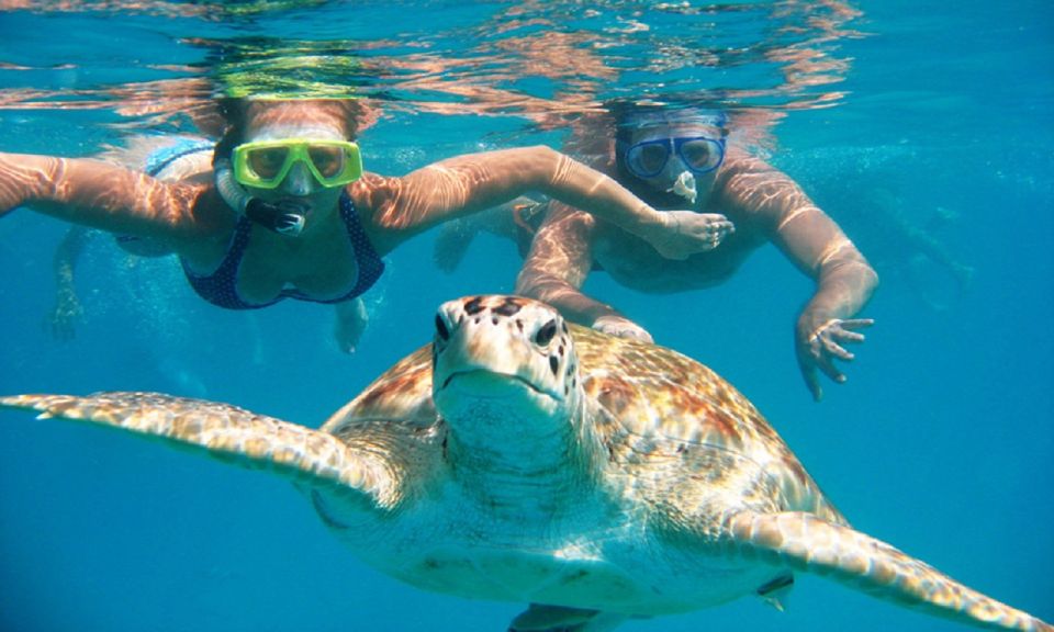 Oahu: 16-Point Guided Circle Tour With Snorkeling and Dole - Frequently Asked Questions