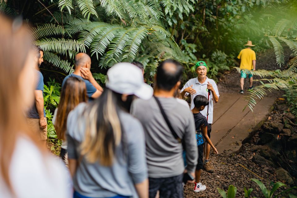 Oahu: Manoa Falls Waterfall Hike With Lunch and Transfers - Frequently Asked Questions