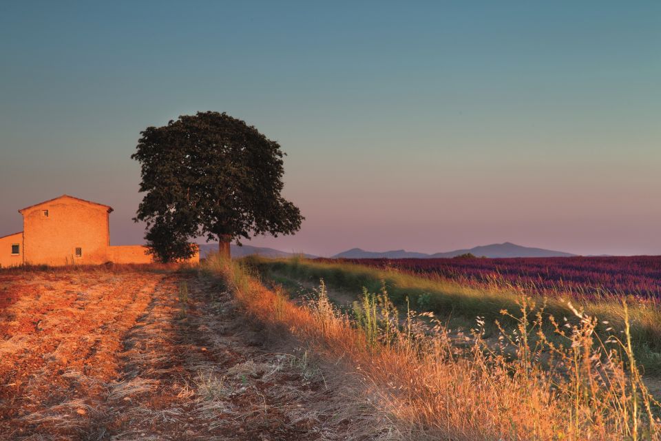 Ocean of Lavender in Valensole - Frequently Asked Questions