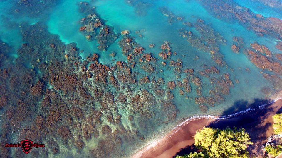 Olowalu: Guided Tour Over Reefs in Transparent Kayak - Included Amenities