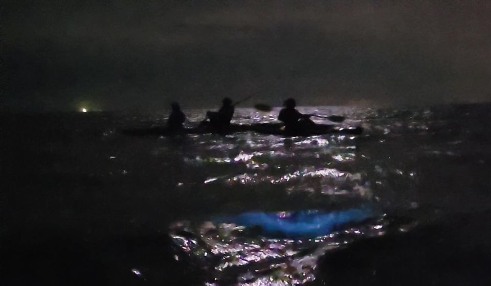 Orlando: Bioluminescence Kayak and Swim Adventure - Frequently Asked Questions