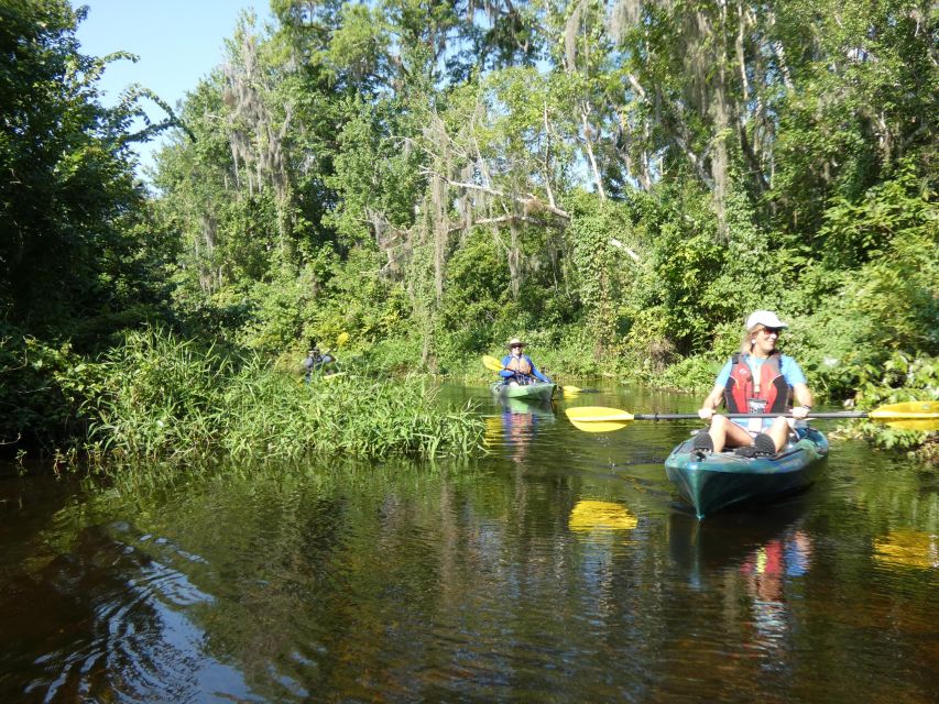 Orlando: Small Group Scenic Wekiva River Kayak Tour - Frequently Asked Questions