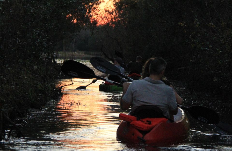 Orlando: Sunset Guided Kayaking Tour - Frequently Asked Questions