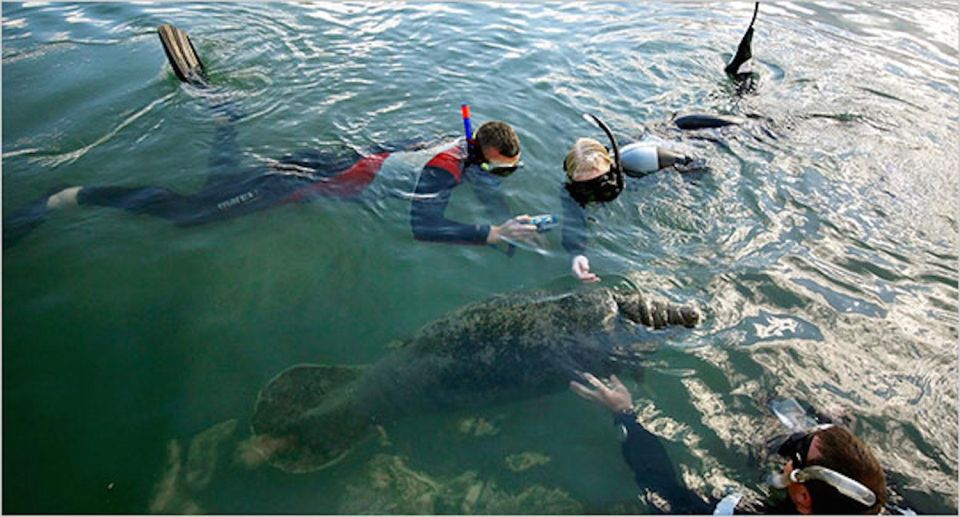 Orlando: Swim With Manatees and Homosassa State Park Visit - Frequently Asked Questions