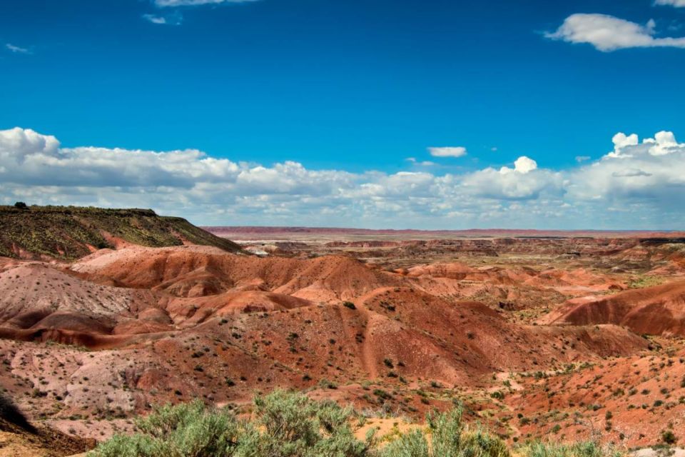 Petrified Forest National Park Self-Guided Audio Tour - Frequently Asked Questions