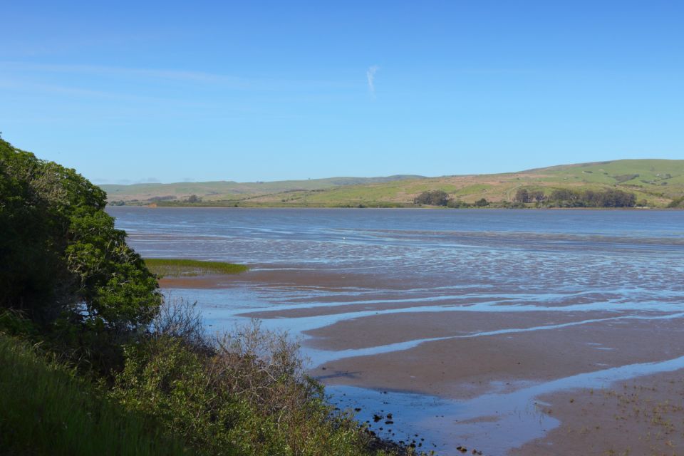 Point Reyes National Seashore Self Guided Driving Tour - Frequently Asked Questions