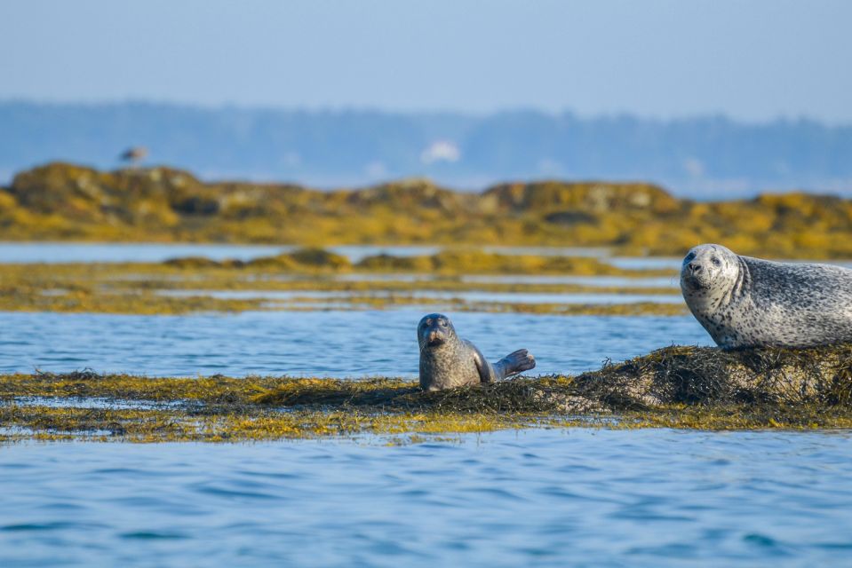 Portland: Schooner Tall Ship Cruise on Casco Bay - Frequently Asked Questions