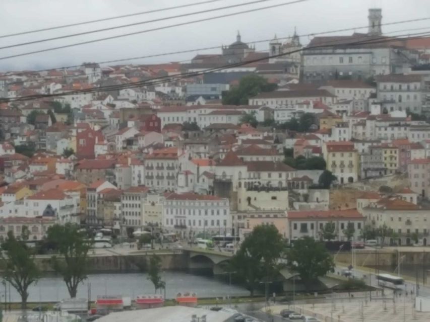 Porto: Half-Day Small Group City Tour - Recap