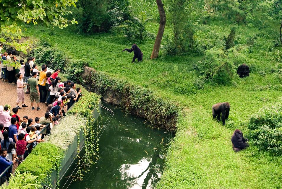 Prague Zoo Skip-the-line Tickets and Private Transfers - Frequently Asked Questions