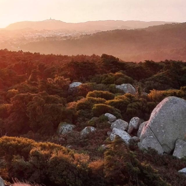 Private Evening Walk: Sintra Mountains Inbetween Wolves - Recap