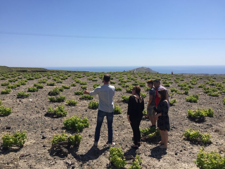 Private Group Visit to Akrotiri & 3 Wineries With Tastings - Frequently Asked Questions