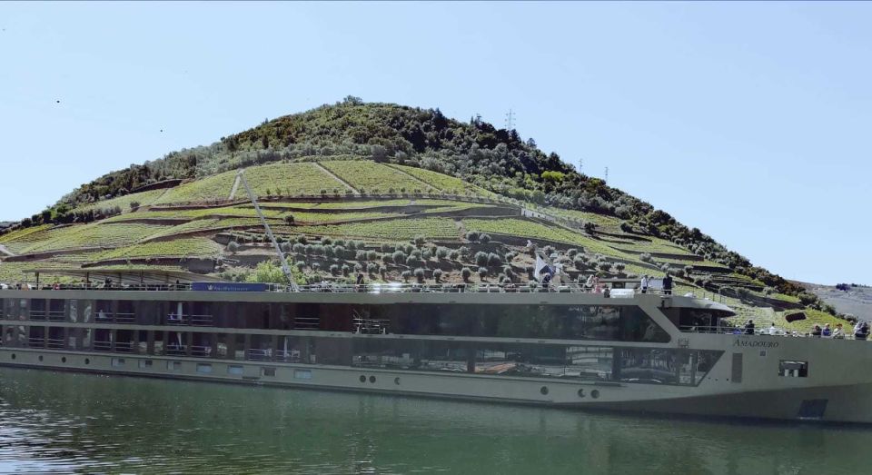 Private Tour: Douro Valley Wine and Food From Oporto - Frequently Asked Questions