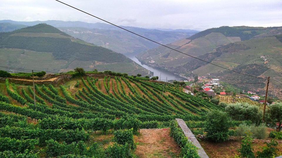 Private Tour to Stunning Douro Valley and Renowned Wineries - Recap