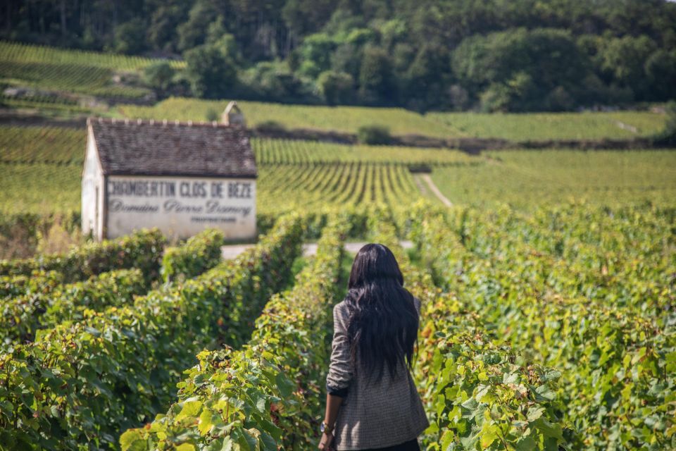 Private Wine Tour in Cote De Nuits and Cote De Beaune - Frequently Asked Questions