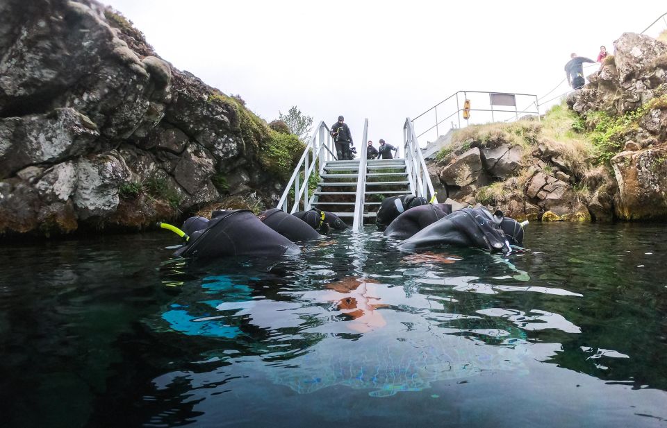 Reykjavik: Silfra Fissure Snorkeling Tour With Photo & Cocoa - Frequently Asked Questions