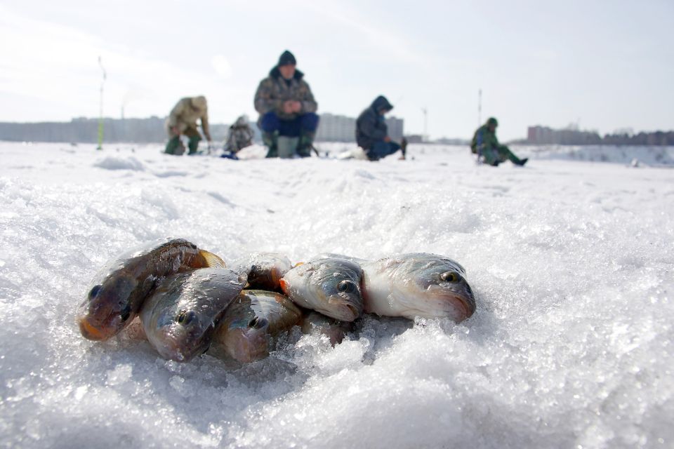 Rovaniemi: Arctic Circle Ice Fishing Experience - Frequently Asked Questions