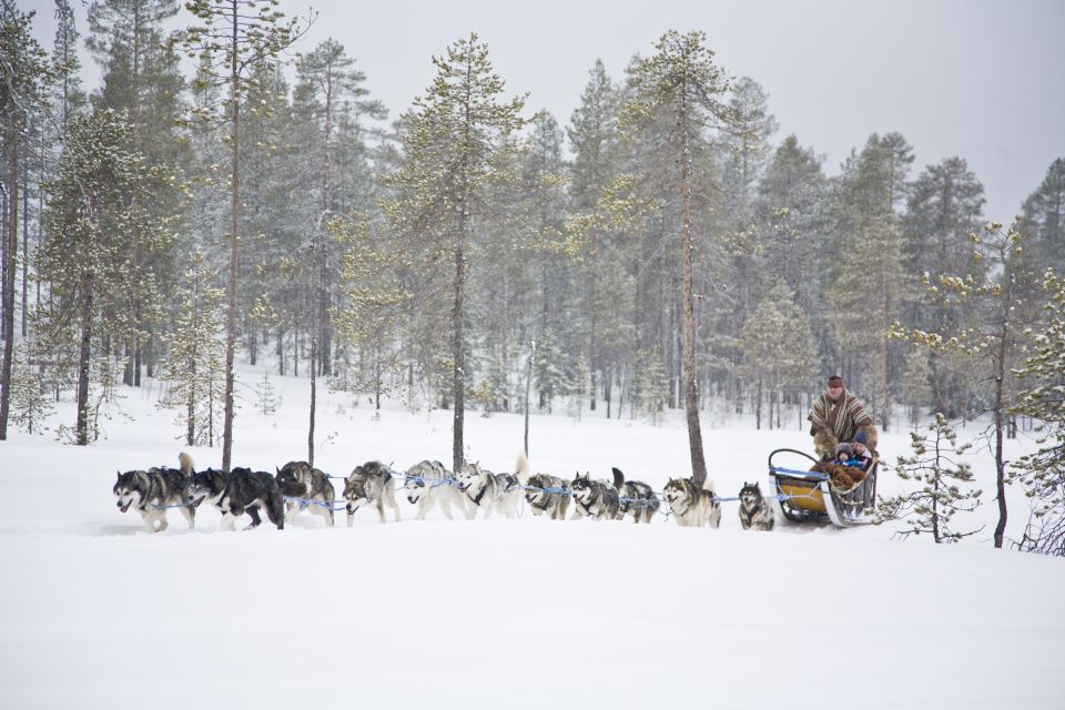 Rovaniemi: Husky & Reindeer Farm Visit With Snowmobile Ride - Frequently Asked Questions