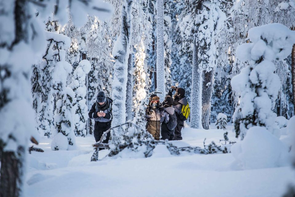 Rovaniemi: Nordic Forest Wilderness Adventure - Frequently Asked Questions