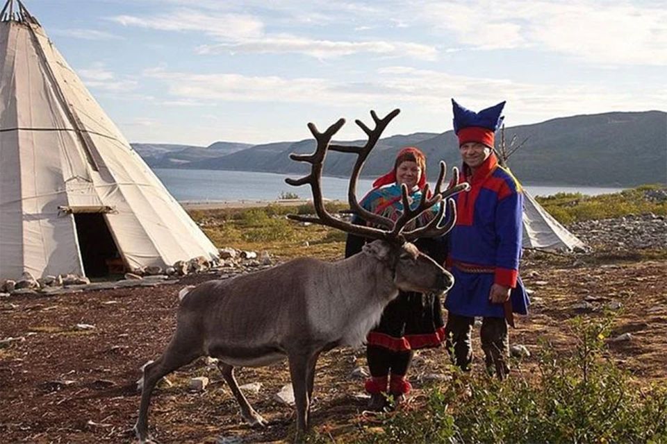 Rovaniemi: Reindeer Farm Visit in the Summer - Frequently Asked Questions