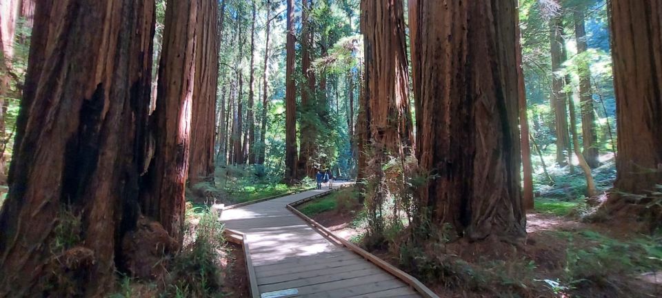 San Francisco: Muir Woods and Sausalito Small Group Tour - Frequently Asked Questions