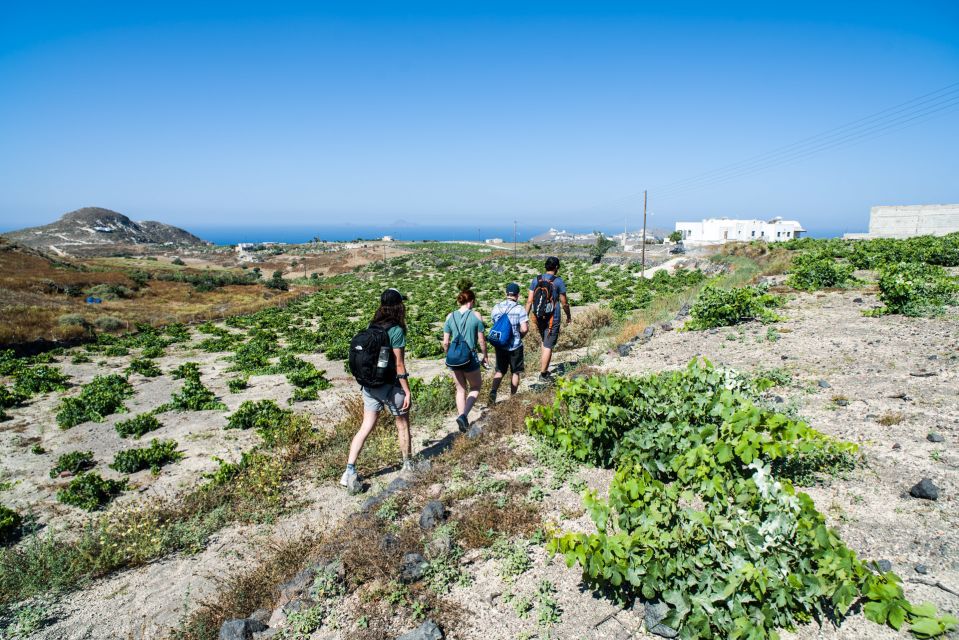 Santorini: Cooking Class and Easy Hike - Frequently Asked Questions