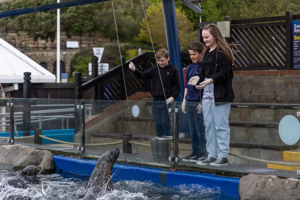 Sea Life Scarborough - Frequently Asked Questions