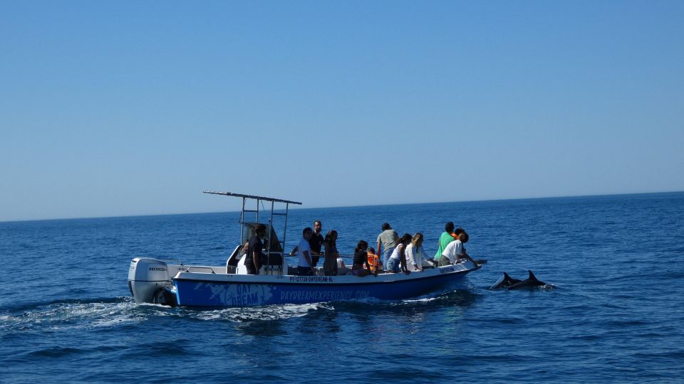 Sesimbra: Dolphin Watching With Biologist Arrábida Natural Park - Frequently Asked Questions