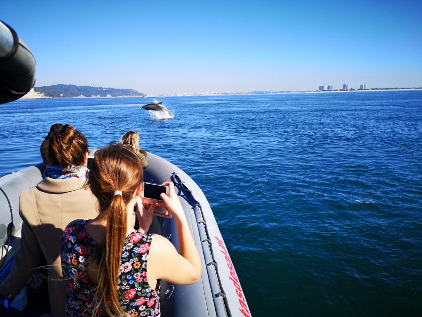 Setúbal: Dolphin Watching - Frequently Asked Questions