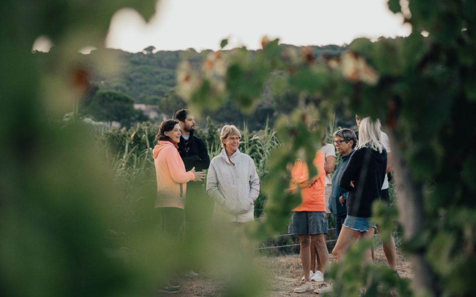 Small Group Wine Tour From Saint-Tropez - Frequently Asked Questions