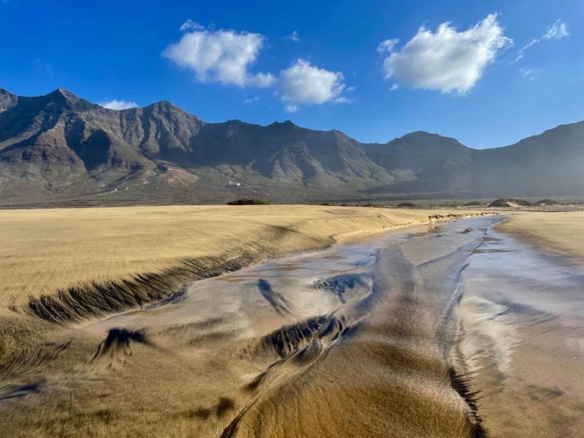 Southern Fuerteventura: Cofete Beach and Desert Safari - Things To Known