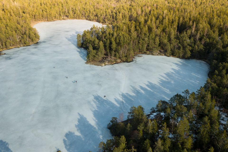 Stockholm: Winter Snowshoe Full-Day Hike - Swedish Wildlife and Ecosystems