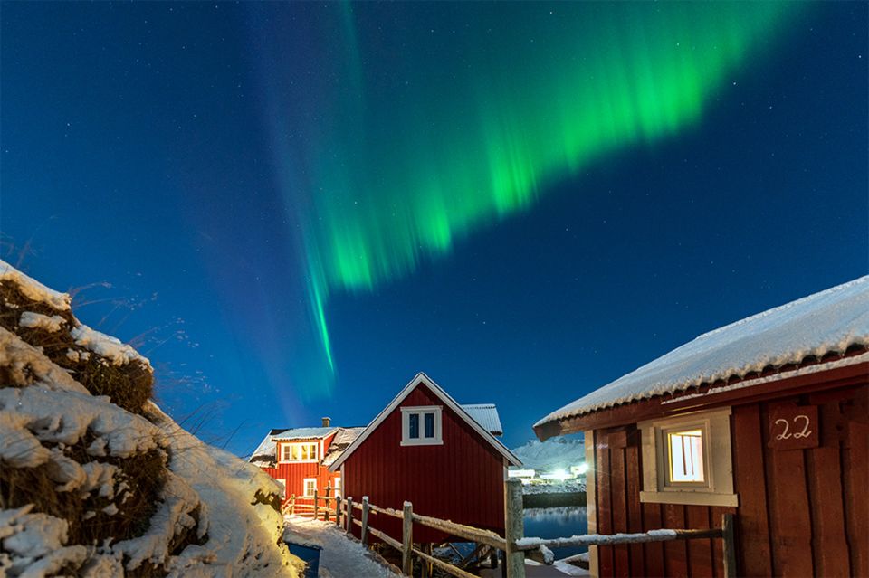 Svolvær's: Lofoten Northern Lights Hunt by Van With Snacks - Frequently Asked Questions