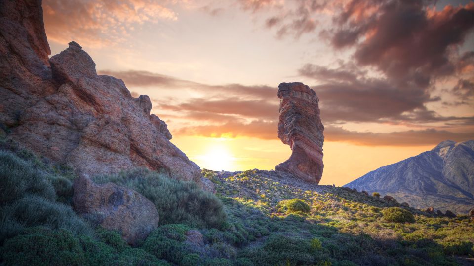 Tenerife: Teide National Park and Dolphins Sailboat Tour - Frequently Asked Questions