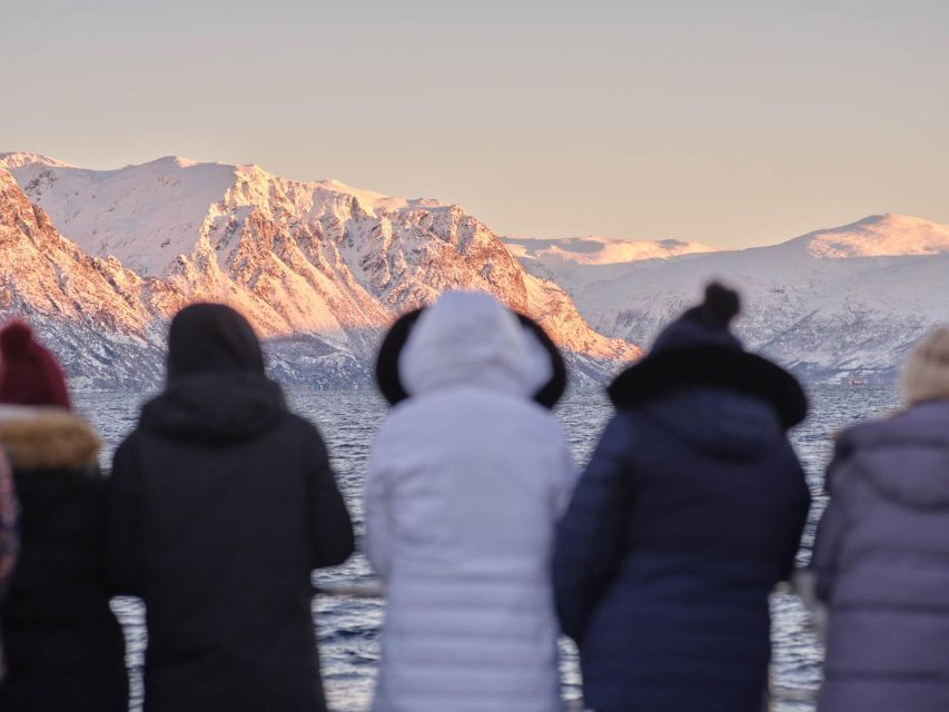 Tromsø: Arctic Fjord Cruise in Polar Landscapes - Frequently Asked Questions