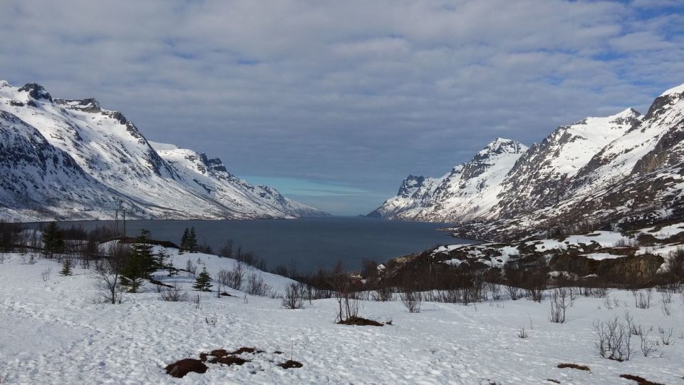 Tromsø: Arctic Landscape and Fjord Tour With Snacks - Frequently Asked Questions