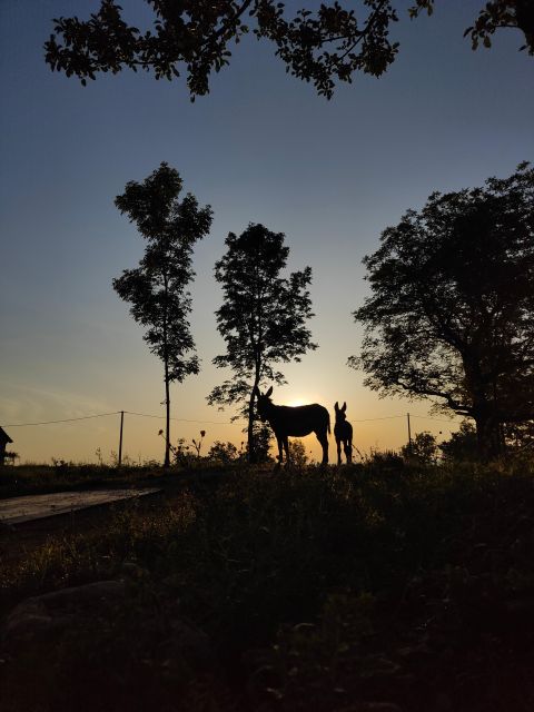 Wild Spring Ranch: Rakovica, Croatia, Horse Riding - Frequently Asked Questions