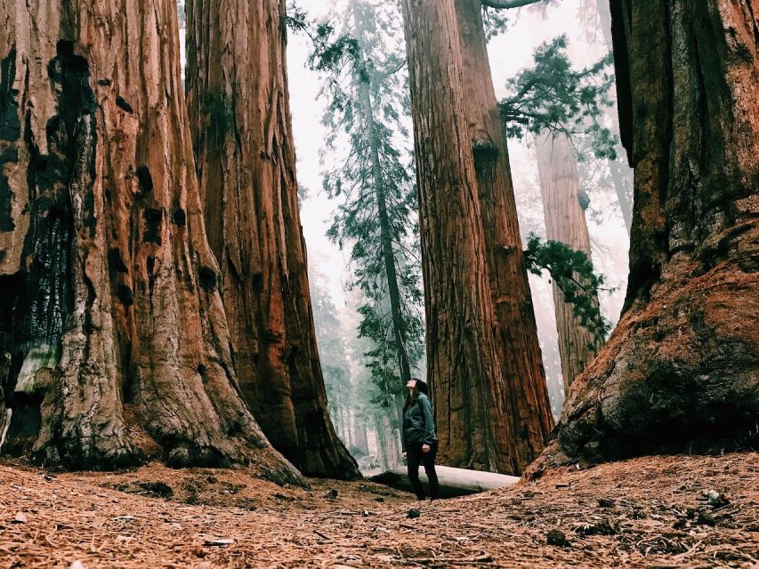 Yosemite Natl Park: Curry Village Semi-Guided 2-Day Tour - Frequently Asked Questions