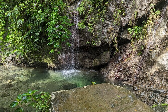 A Day of Relaxation in the Jungle and Waterfalls of Dominica - Overview