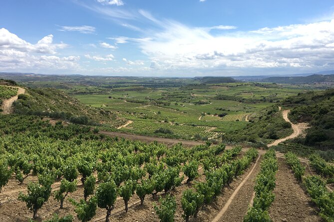 A Sip-By-Sip Tour of 3 Boutique Rioja Family Wineries (Private Tour With Lunch) - Winery Visits