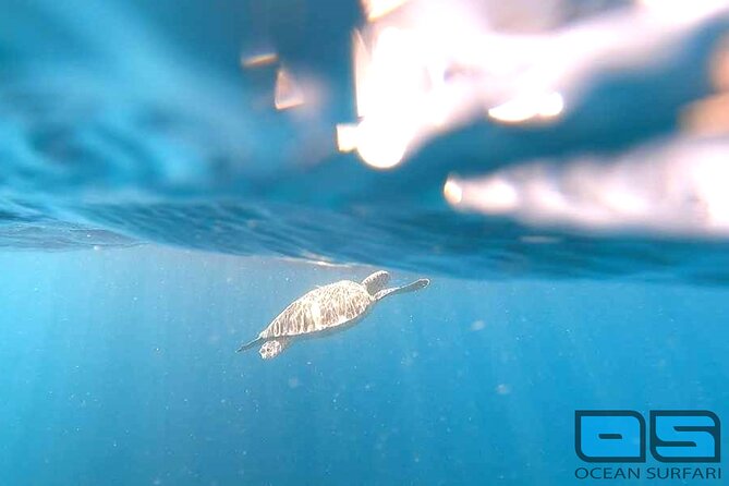 Afternoon Snorkel, Pizza & Sunset Tour Departing From St. Thomas & St. John - Overview of the Cruise